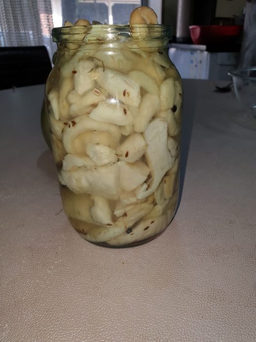 Продам соленые  грибы грузди