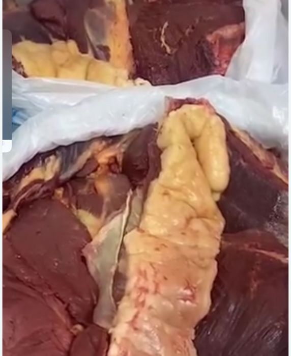 Ет согым мясо конина жілік