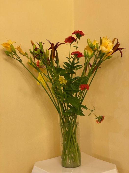 Продам Вазы пластиковые ,цена от 1600т и выше.