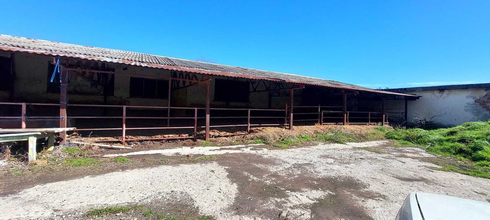 Продава се Промишлена сграда в с. Рибен, Област Плевен - 4100 кв.м за 57 €/кв.м - Снимка #12