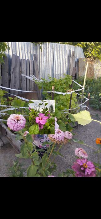 Продается пол дома