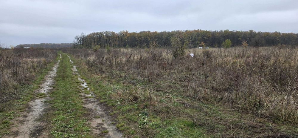 Teren Cosoba intravilan Jud. Giurgiu aproape sector 6 Bucuresti 2000m²