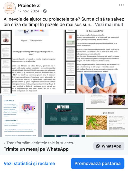 Referate/eseuri/proiecte/prezentări școlare