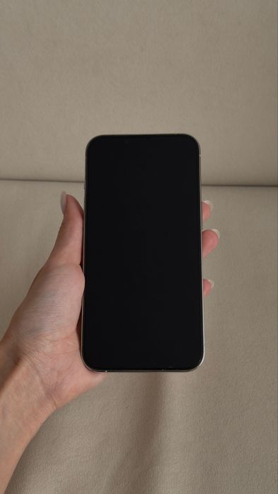 iPhone 13 Pro Silver