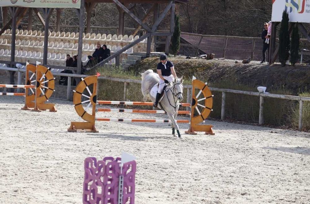 Cal de proba completă, de vanzare