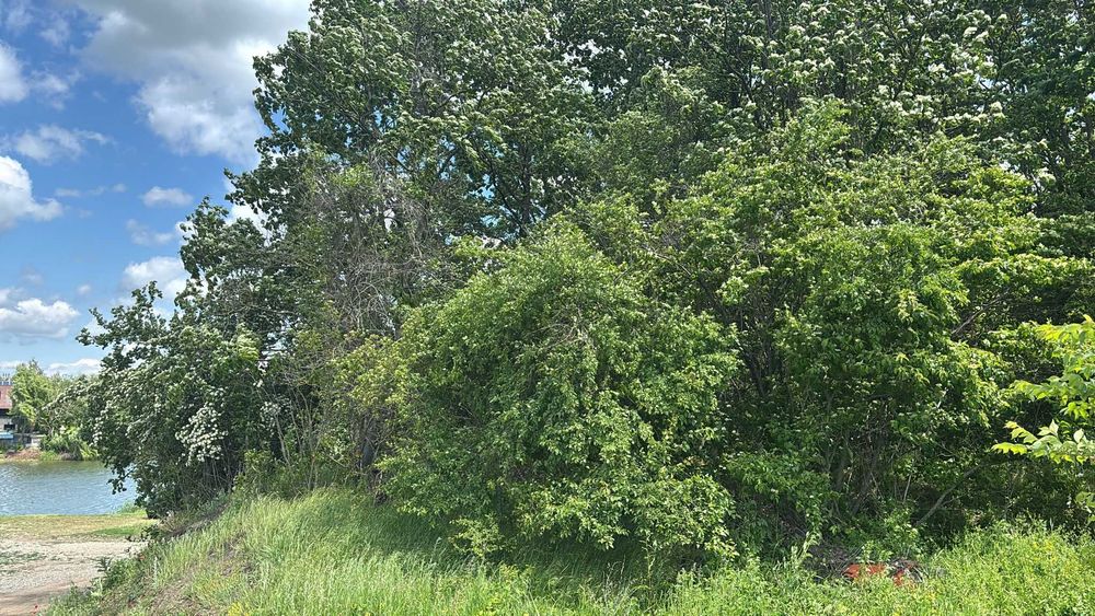 Teren intravilan in Corbeanca (Tamasi) -  langa lac si padure