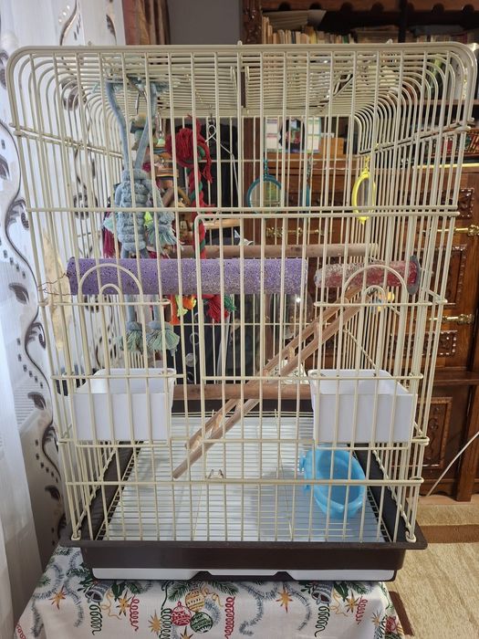 Colivie papagal micul Alexandru+ ghiozdan