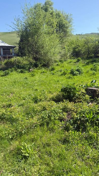 Продам земельный участок.