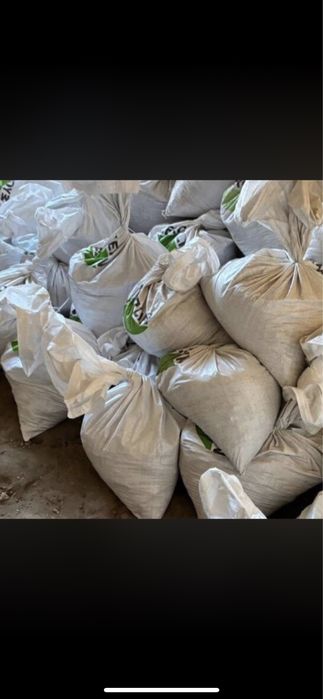 Facem Curat in curti si gradin,becur