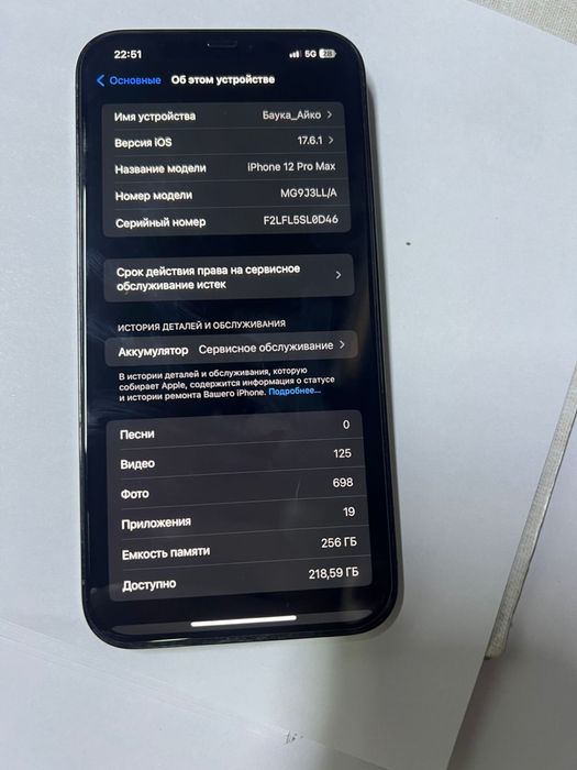12 про макс 256 гб