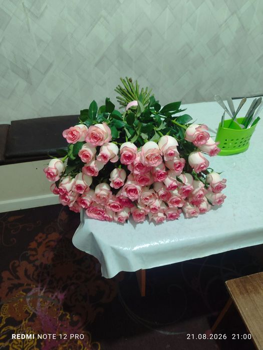 41 роза  без оформление