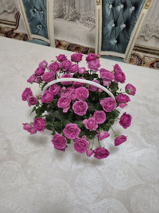 Свежие Цветы Продам