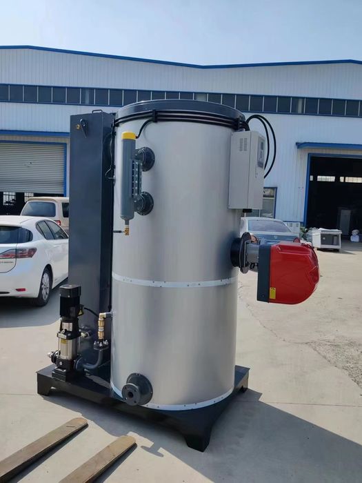 Паровой паровый котел парогенератор  катиол печь пар газовый дизельный