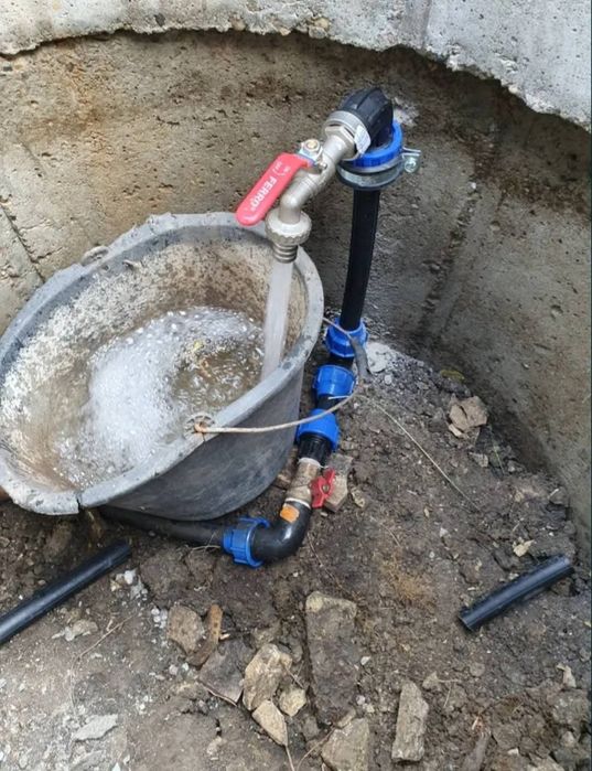Livada tananara  Aluniș