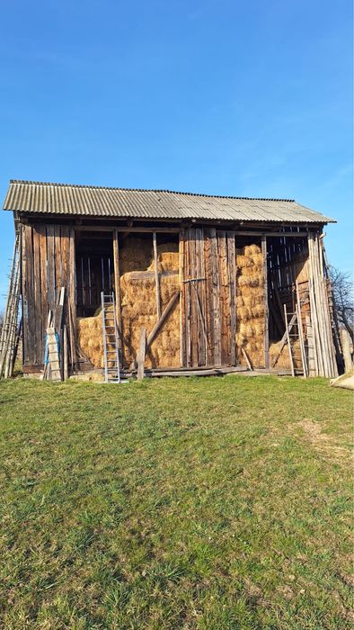 Baloti fan semanatura