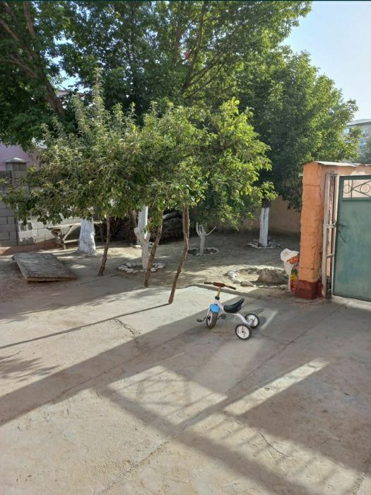 Еки болмели патер сатылады