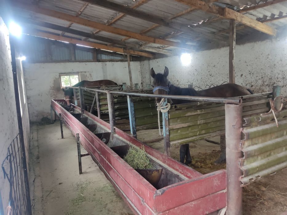Продам дом Береговая 67 а