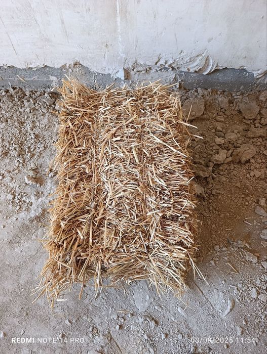 Тоза Сомон прес.