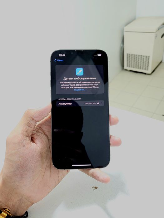 iPhone 13 Pro Max 256Gb