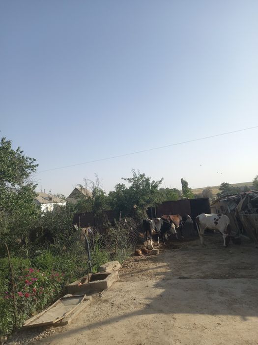 Үй сатылады жер үй сатылады