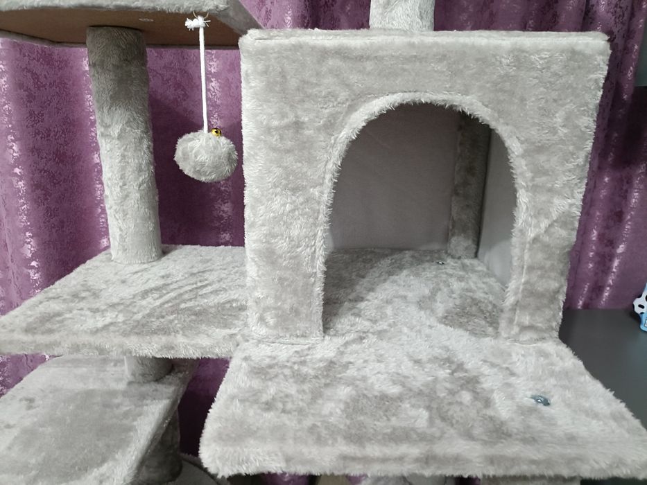 Ansamblu joaca pisici