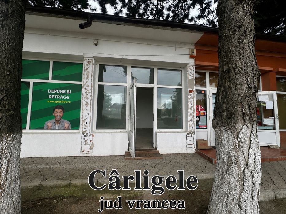 Spatii de inchiriat Vrancea