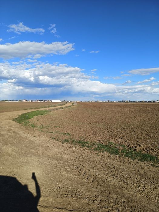 Vând teren comuna Tunari