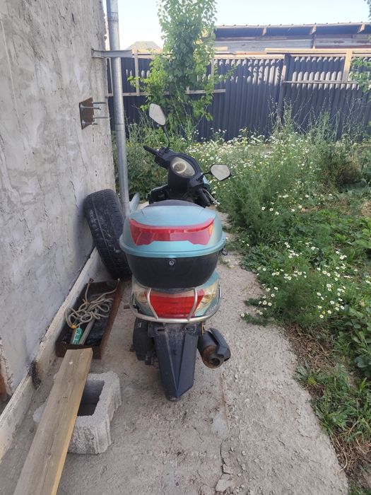 Скутер   Лия.  М 8