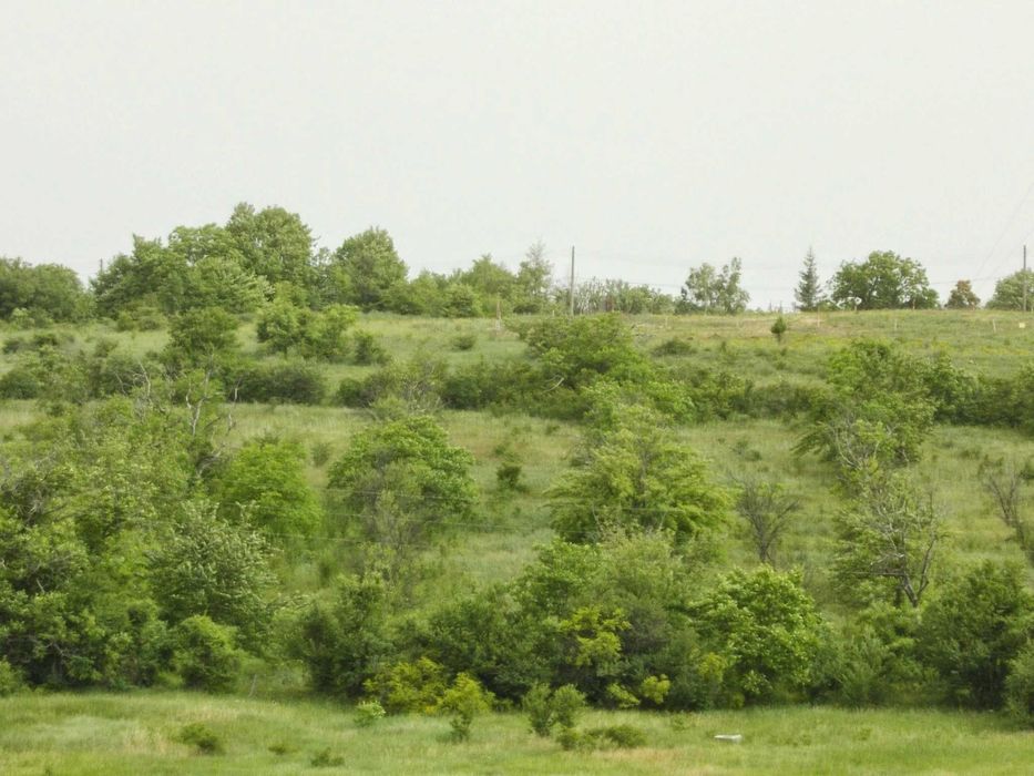 Продавам овощна градина в с. Арбанаси