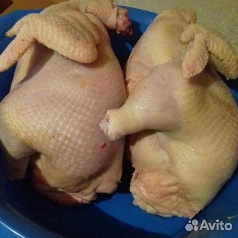 Продам мясо бройлеров