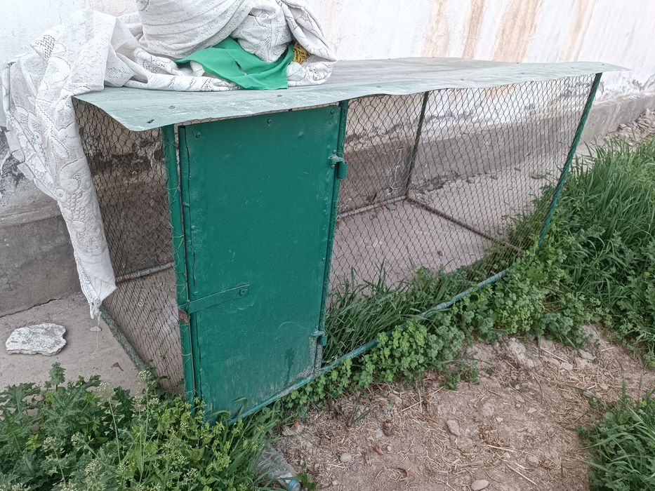 Товук катак сотилади холати янги ишлатилмаган