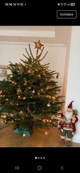 Suport de brad cu apa