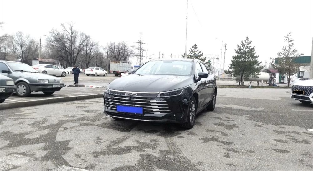 Byd chazor kraska tozza