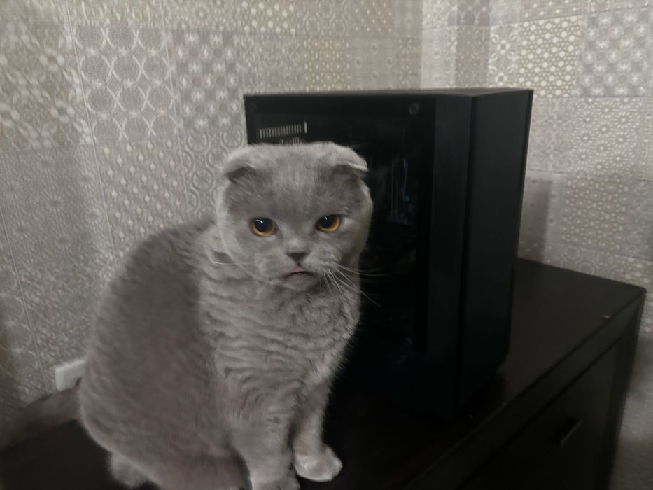 Новый Компьютер для Игр и Работы