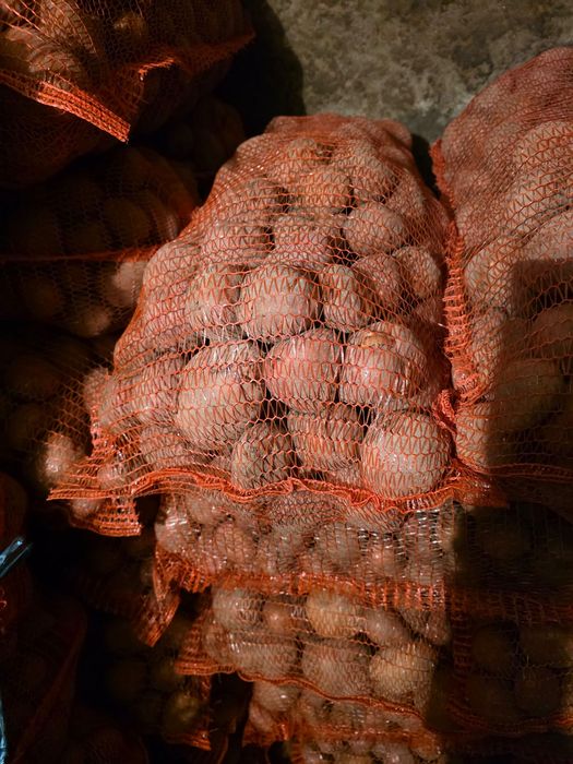 Cartofi de consum alb și roșu sortat recent