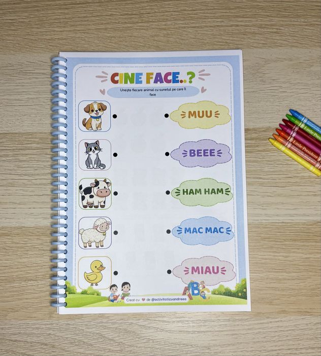 Caiet de activitati pentru copii 2-5 ani