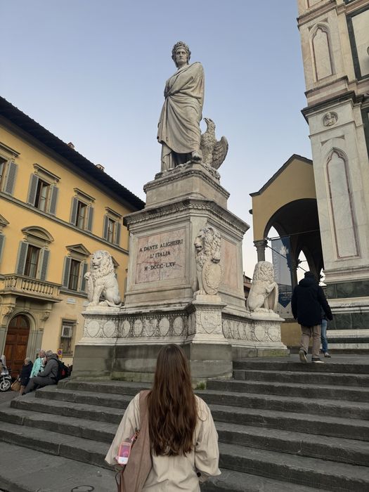 поступление в Италию