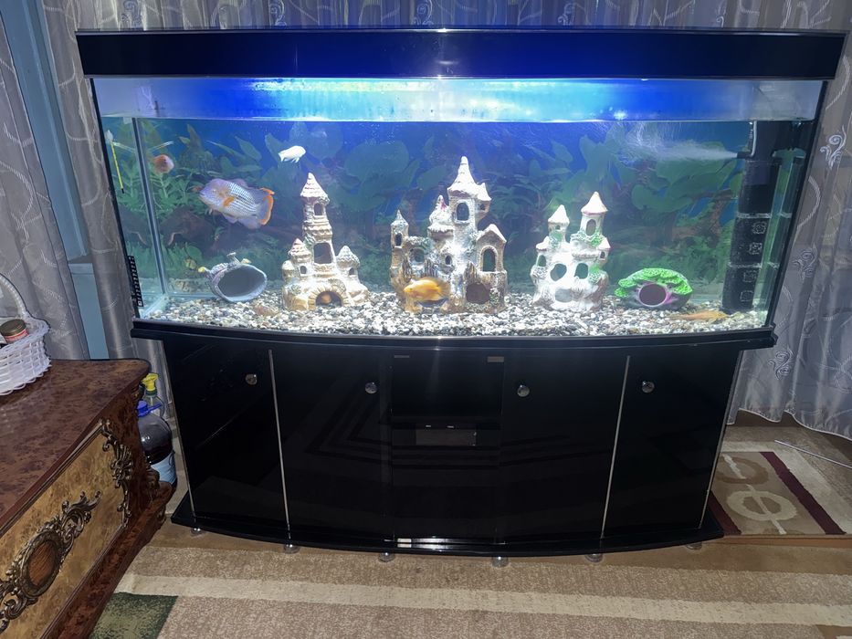 Akvarium 500 litr