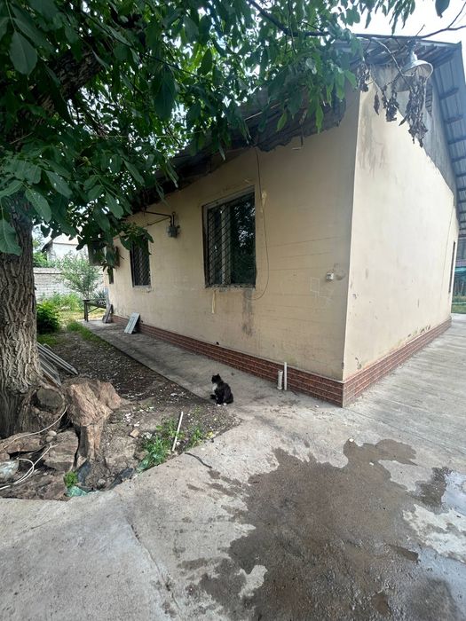 Своя продается дом 6 соток. Олимпийский городок. Парк Янги Узбекистан