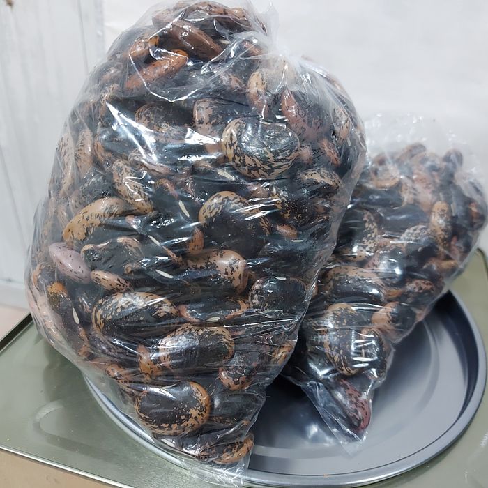 Боб Смилянски фасул МЕД и Родопски шарен боб бурканчета с мед