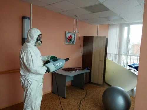 Дезинфекция от клопов таракан блох клешей змей Dezinfeksiya Sergeli