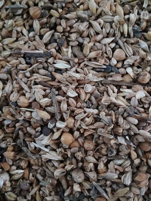 Продам  зерноотходы отруби зерносмесь  пшеница