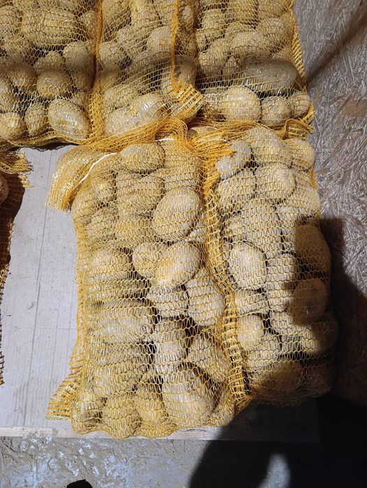 Cartofi din  Polonia