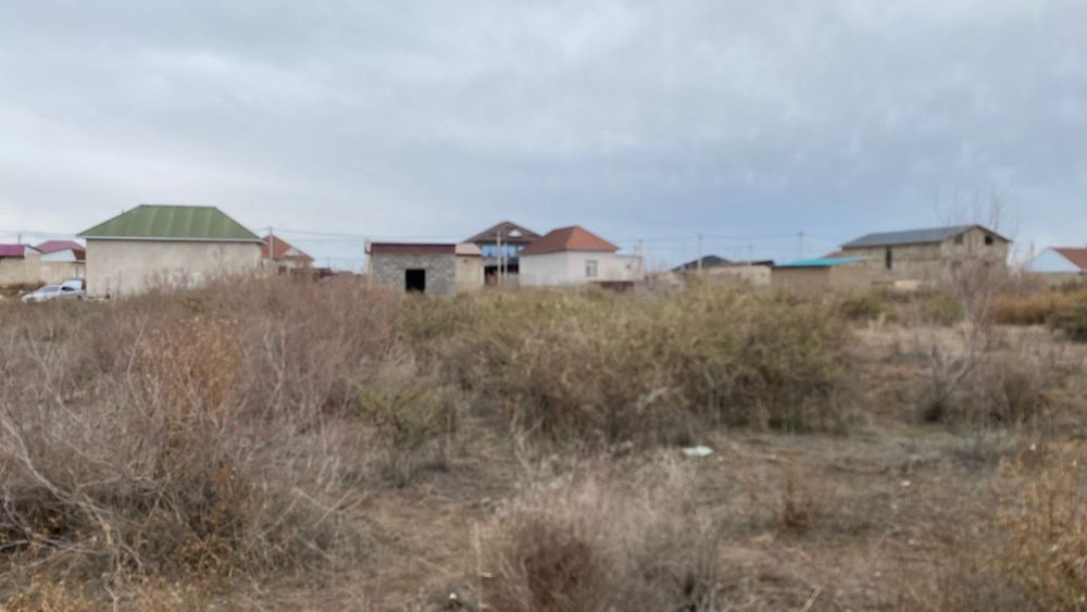 Жер байтерек 8 соттык