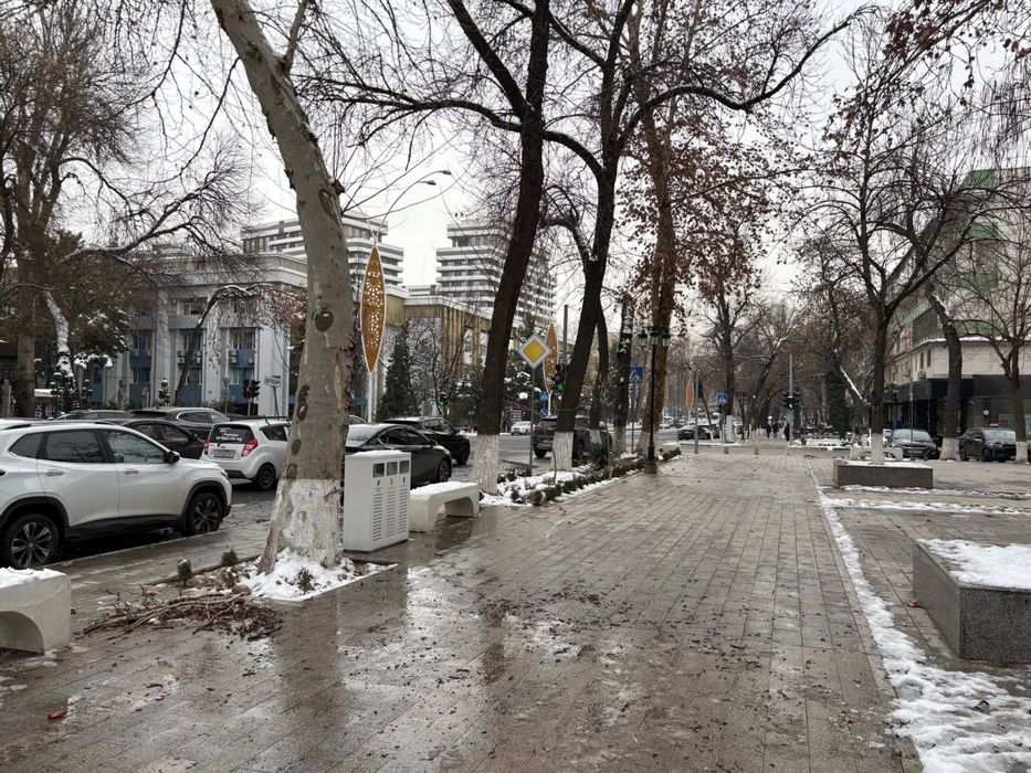 Ц-1 Садык Азимова | 110кв - нежилое помещение вдоль дороги Аренда