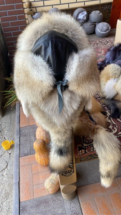 Малахай тұмақ волчий