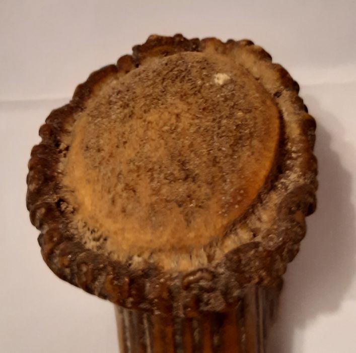 Corn cerb piesa superba maner cutit bowie