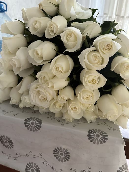 51 шт ак роза……..