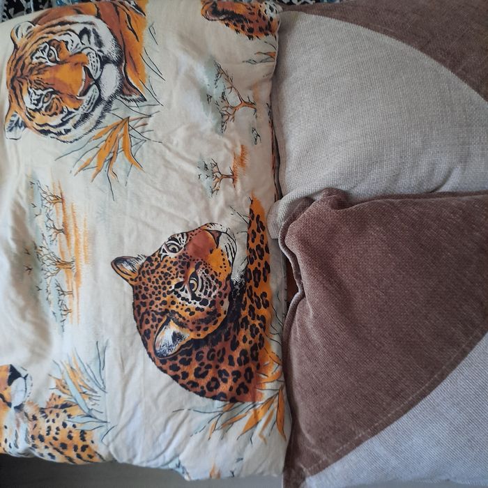 Одеало подушки, Плед