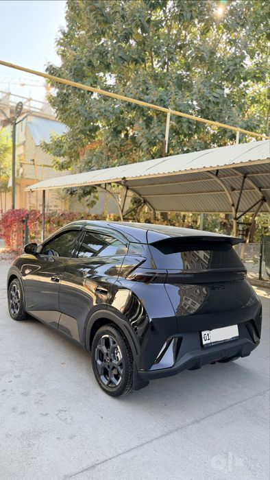Byd sigul Seguall 2025/24